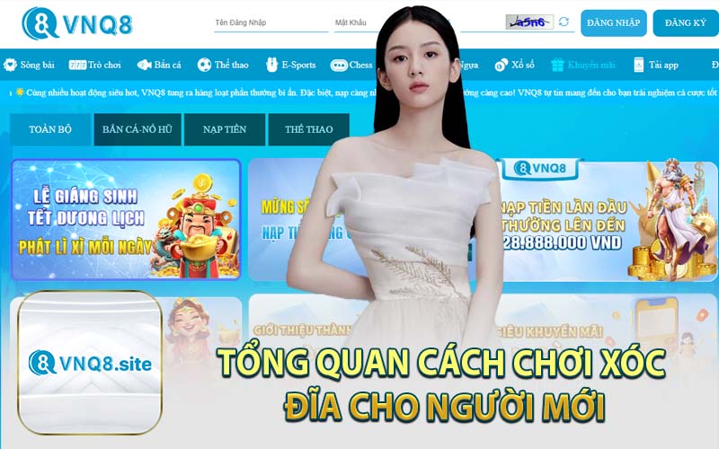 Tổng Quan Cách Chơi Xóc Đĩa Cho Người Mới